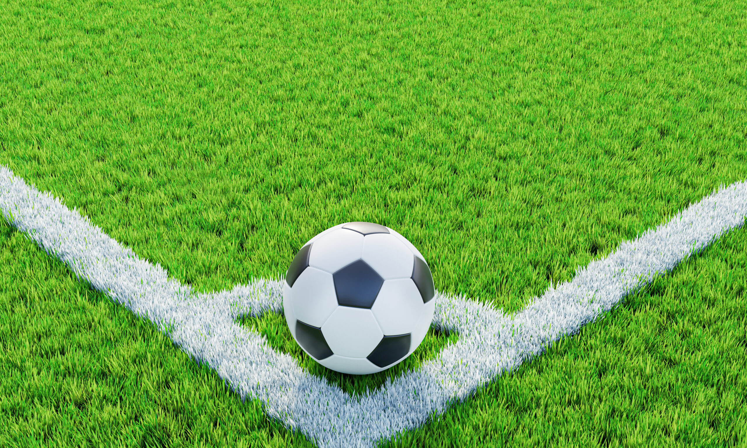 Lawn or soccer field with thick, soft green grass. A standard pa