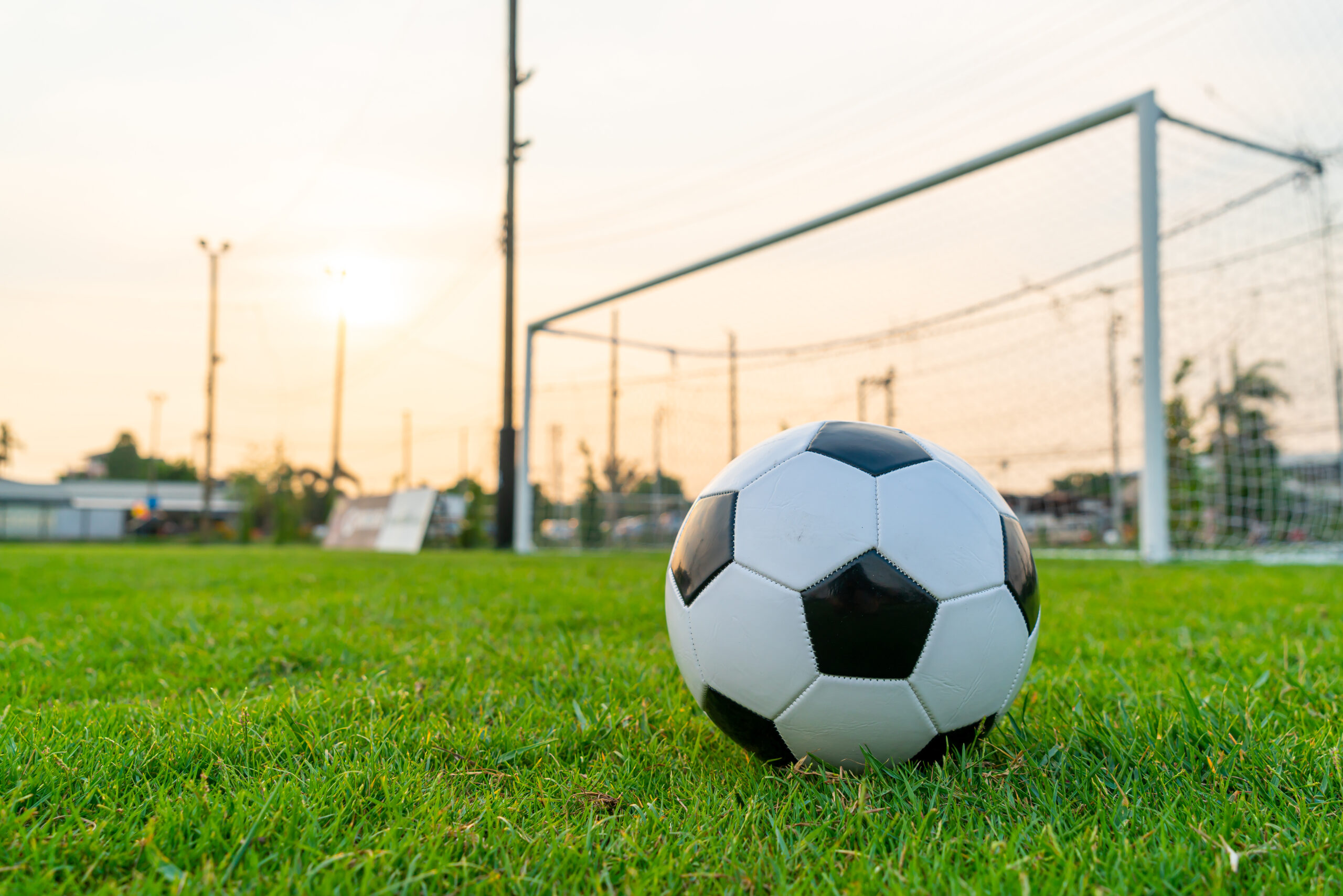 Soccer ball on the ball field