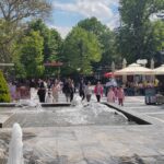 IMG_20250501_105147 (1)