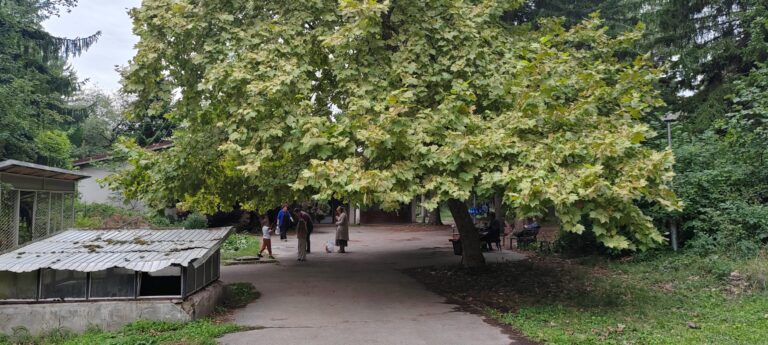 IMG-20250824-113158
