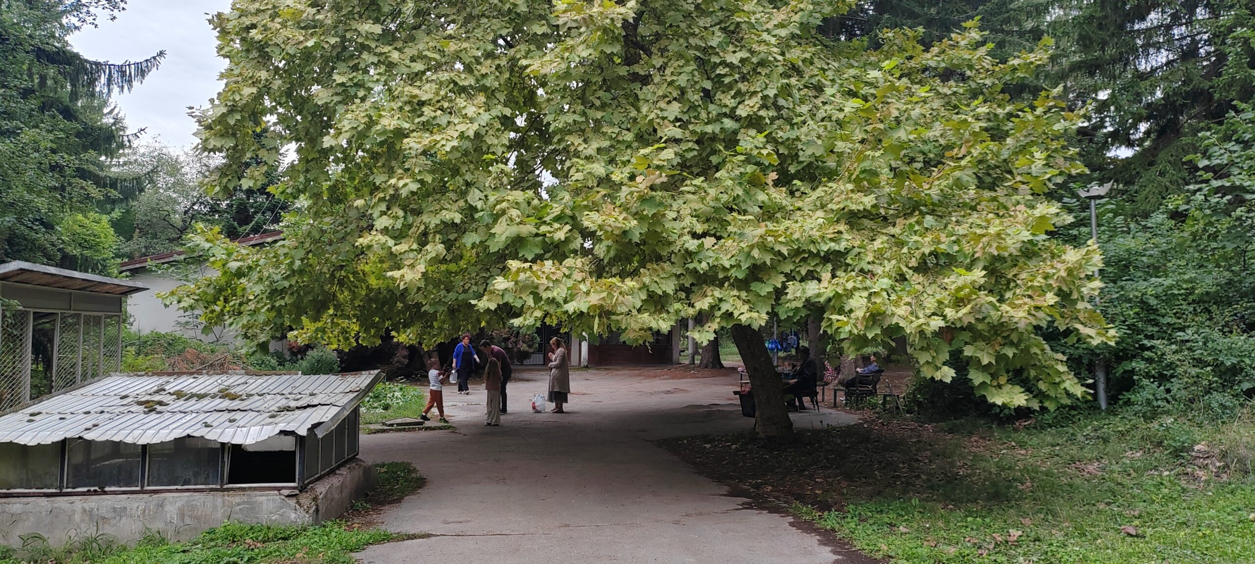 IMG-20250824-113158