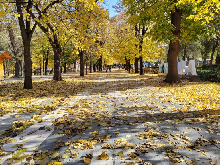IMG-20241104-112053