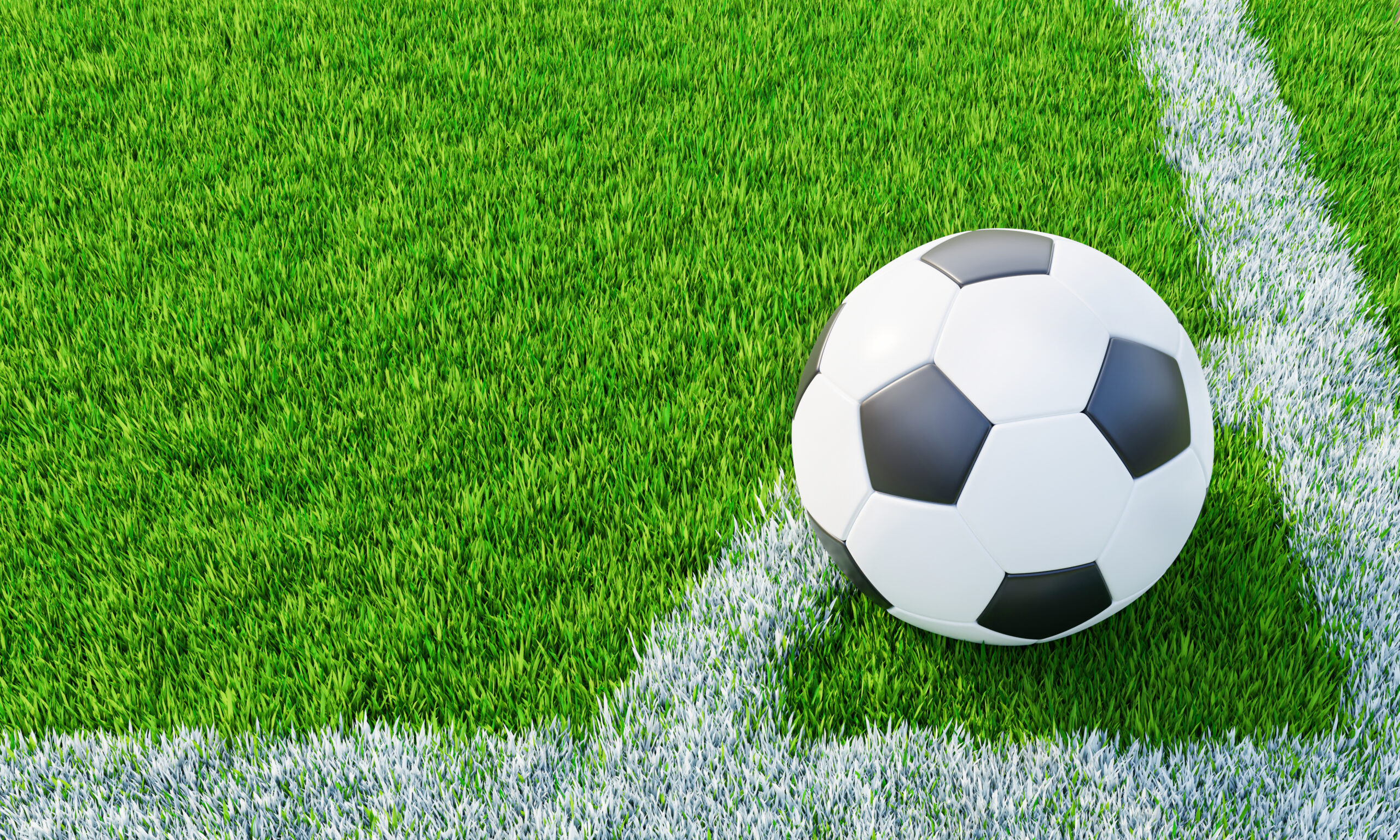 Lawn or soccer field with thick, soft green grass. A standard pa