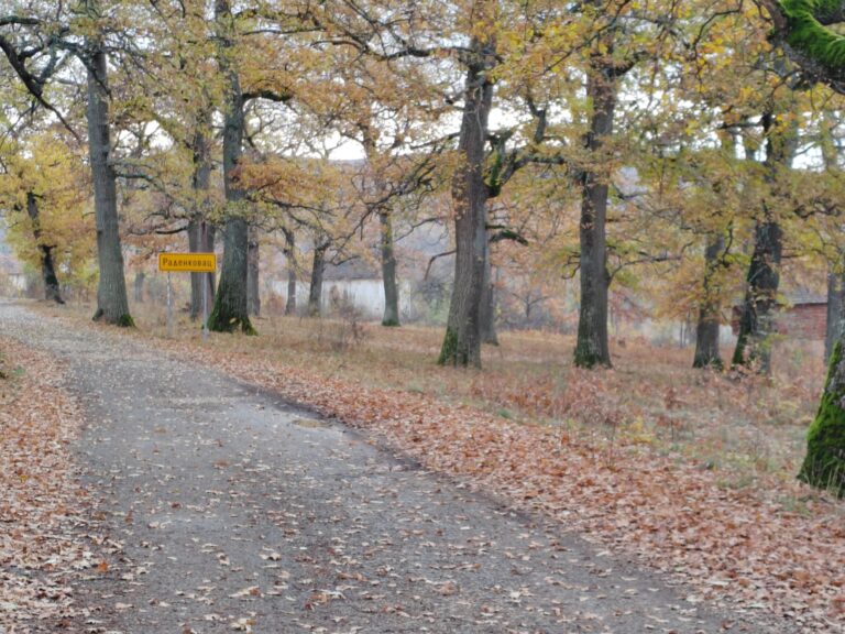 IMG-20241120-085346