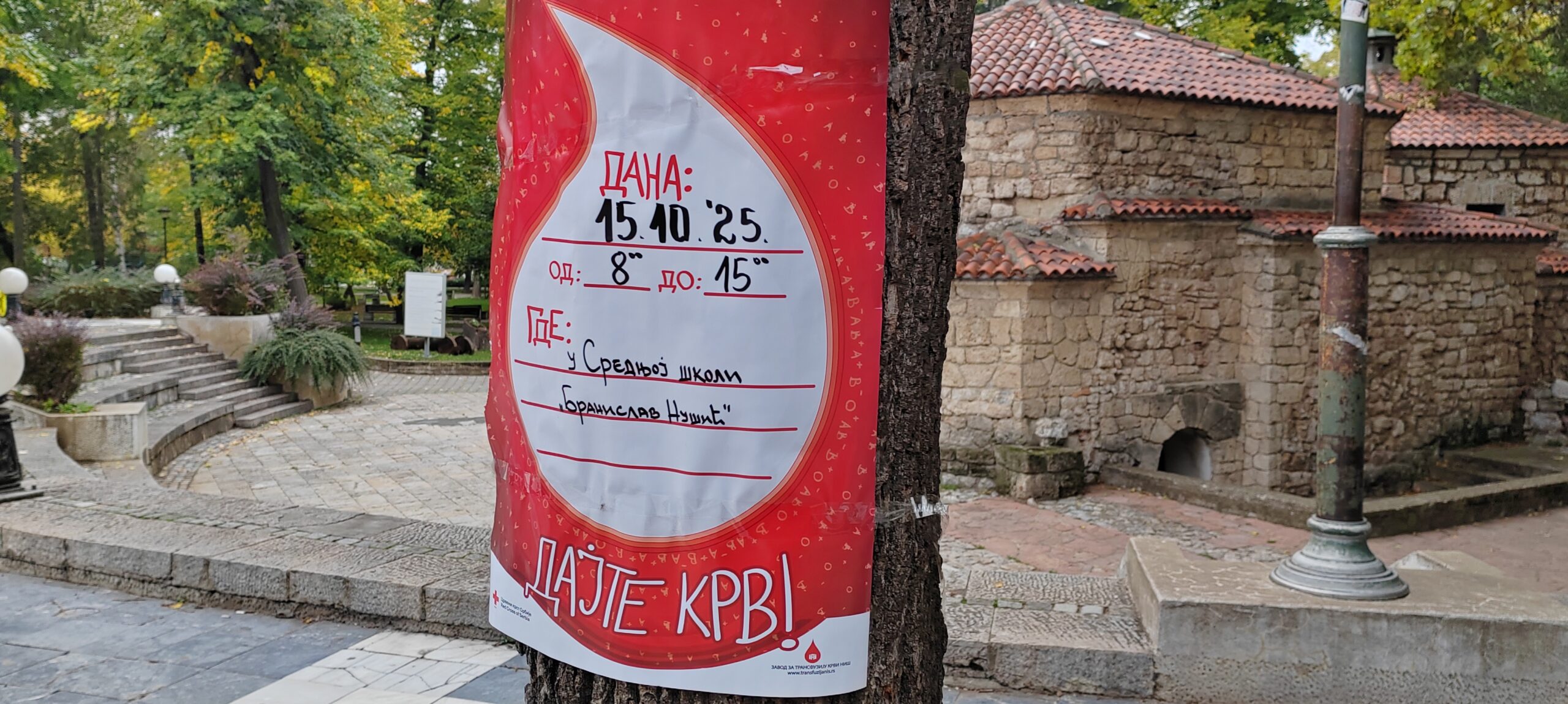 IMG-20251013-075417