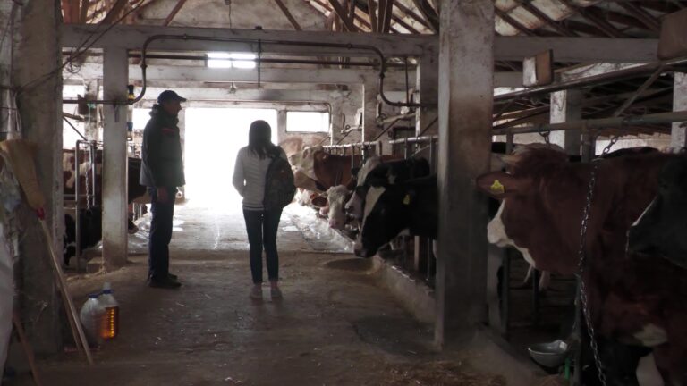 Mladi poljoprivrednik, Sokobanja - frame at 1m35s