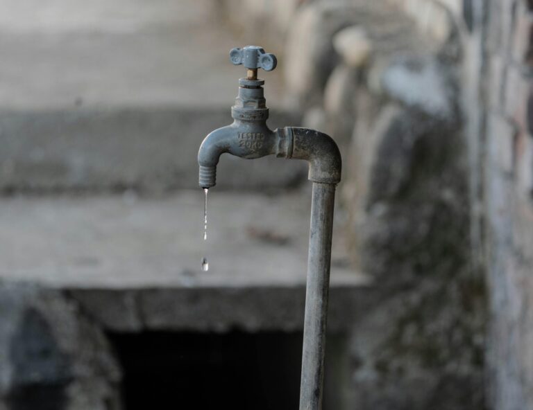 pexels-rajesh-s-balouria-1289088-35137859