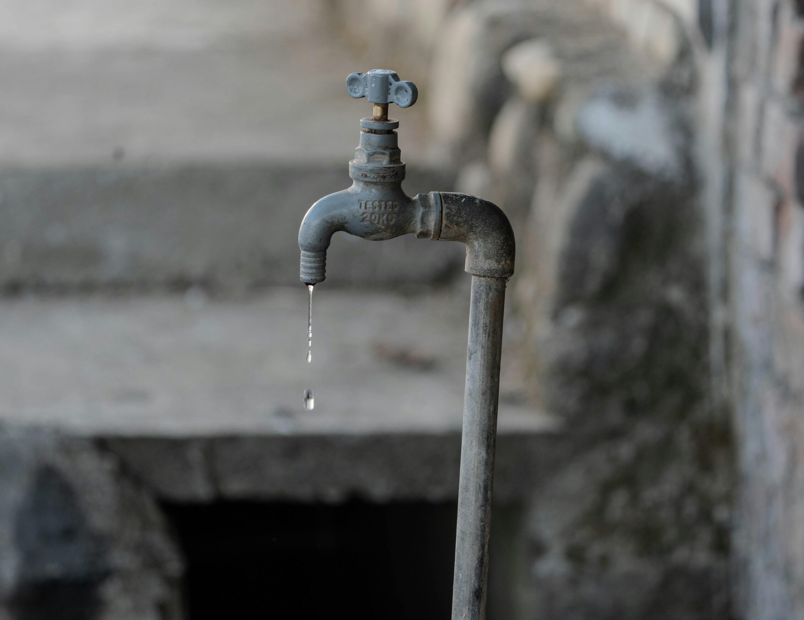 pexels-rajesh-s-balouria-1289088-35137859