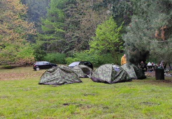 IMG_20250501_082819 (1)