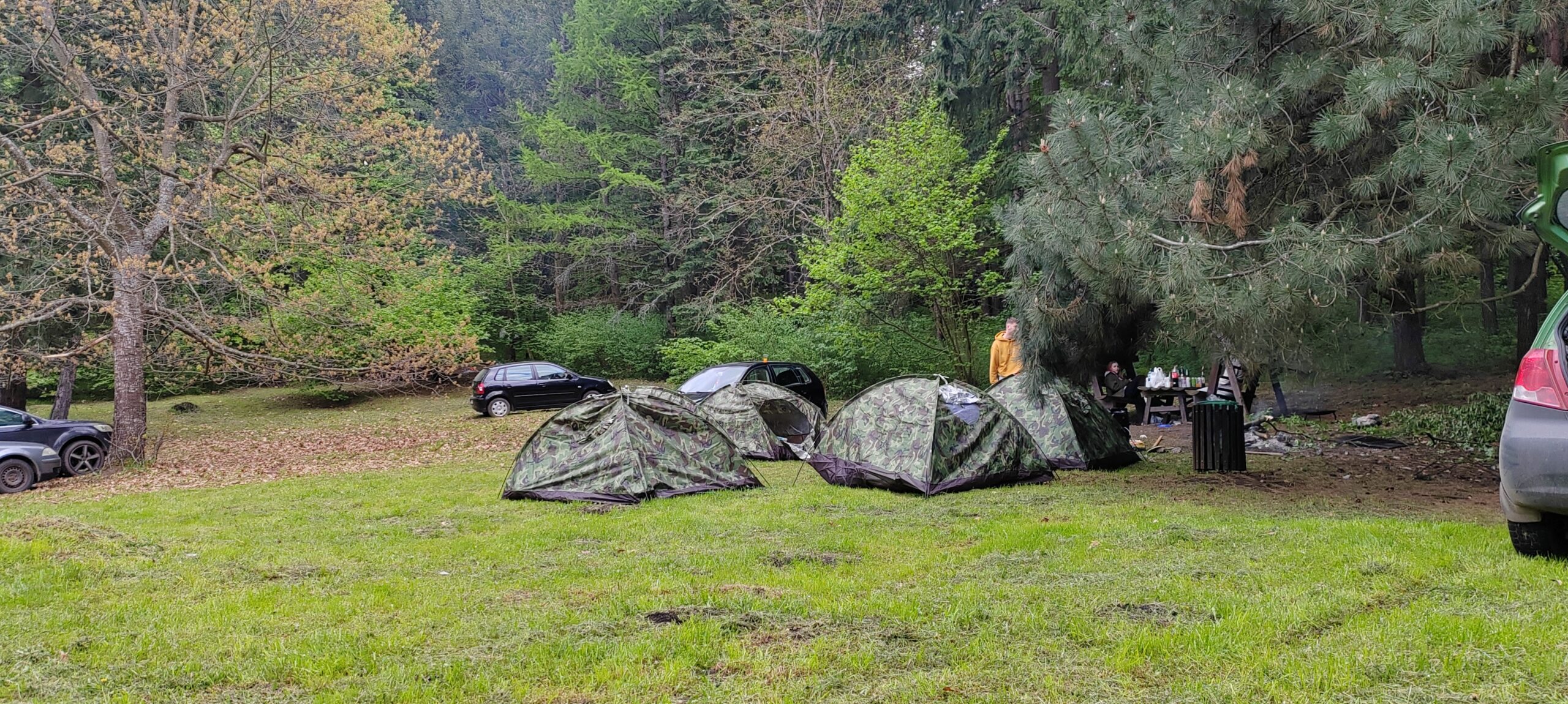 IMG_20250501_082819 (1)