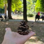 IMG_20250827_111040