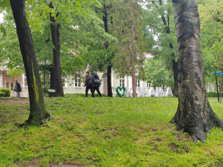 IMG_20260509_094636
