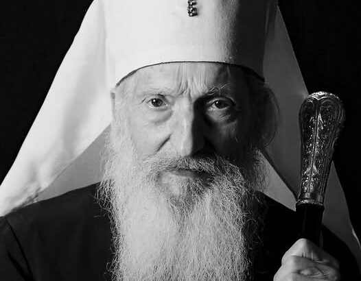 rajko pavle