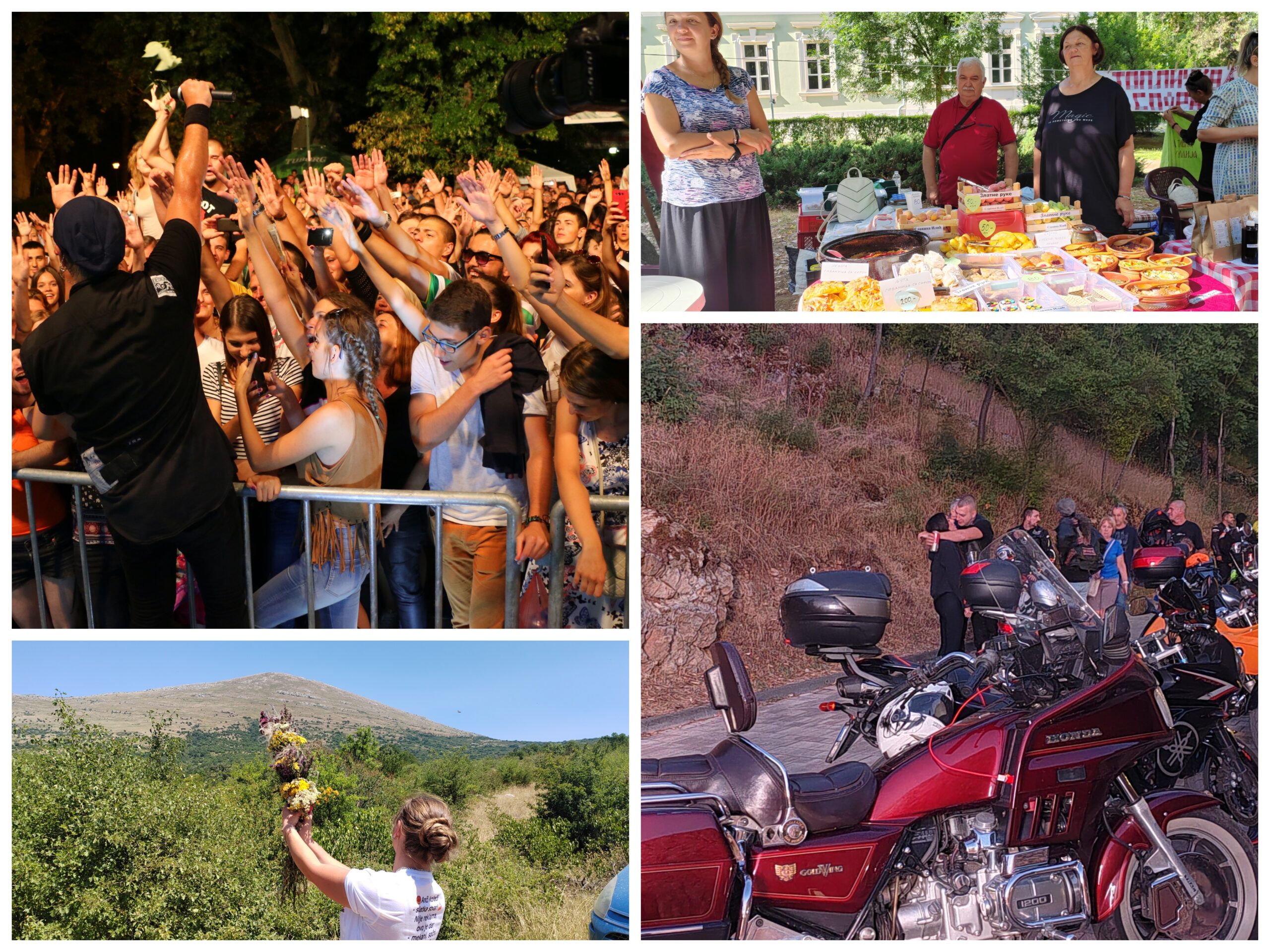 Collage_20260625_154436