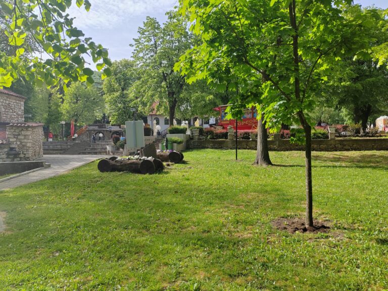 IMG_20260508_091027 (1)
